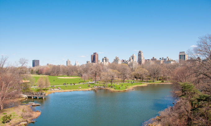 Turtle Pond no Central Park em Nova York | Cozinha do João