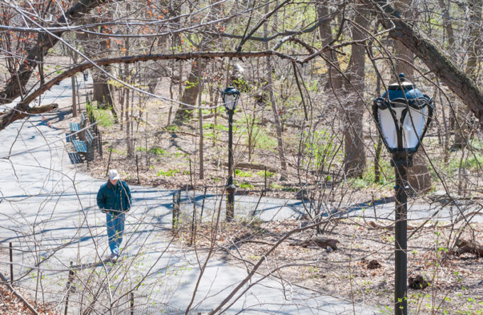 Central Park em Nova York | Cozinha do João