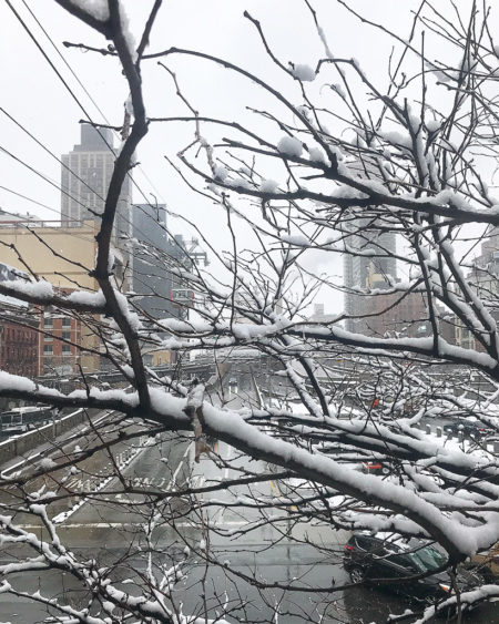 Nevasca em Nova York | Cozinha do João