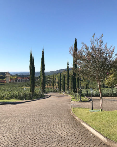 Hotel Spá do Vinho, Serra Gaúcha | Cozinha do João