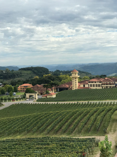 Vinhedos do Hotel Spá do Vinho, Serra Gaúcha | Cozinha do João