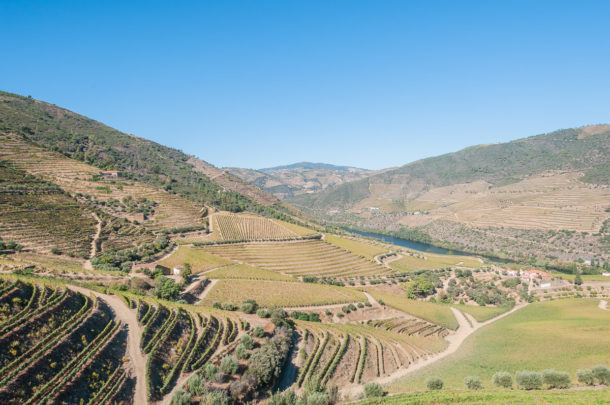 Viagem para o Douro, em Portugal | Cozinha do João