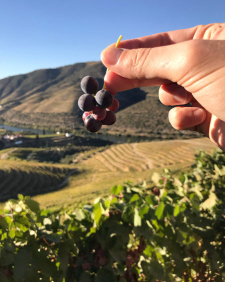 Viagem para o Douro, em Portugal | Cozinha do João