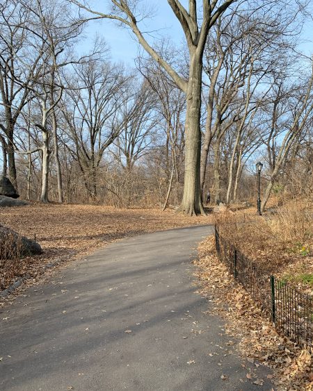 Central Park we love you! | Cozinha do João