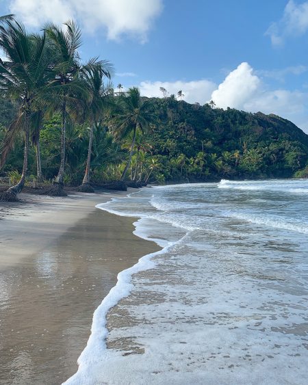 Praia em Viagem para Itacaré, Bahia, Brasil | Cozinha do João