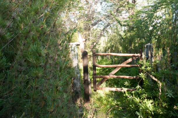 Viagem para a Patagônia, na Argentina | Cozinha do João