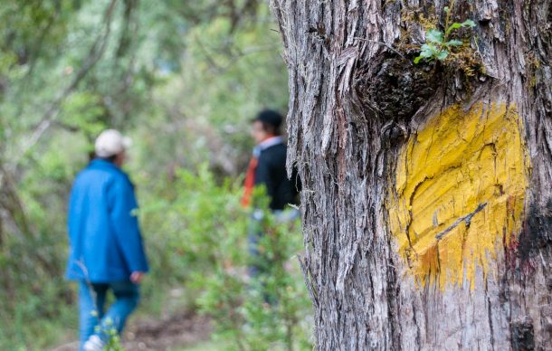 Viagem para a Patagônia, na Argentina | Cozinha do João